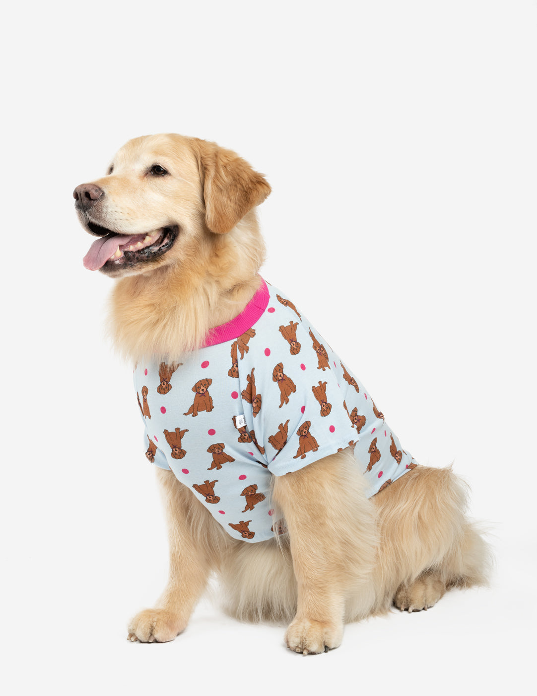 Dog Retro Rainbow Pajamas – Leveret Clothing