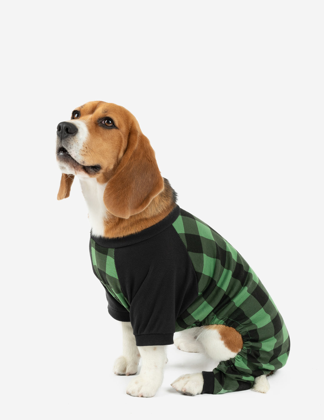 Dog Black & Green Plaid Cotton Pajamas