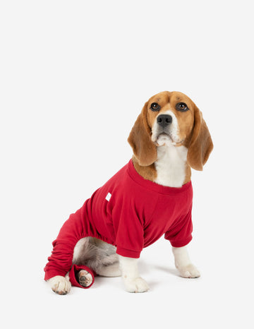 #color_red