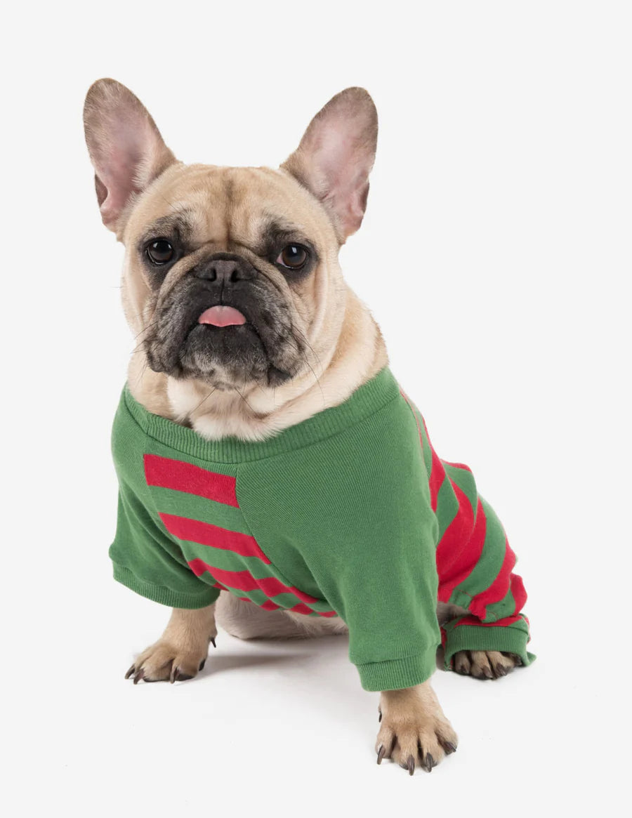 Why Are Dog Christmas Pajamas a Hit?