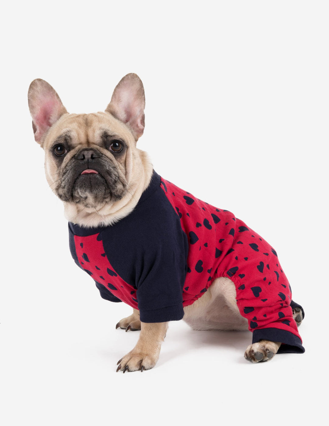 dog wearing hearts pajamas