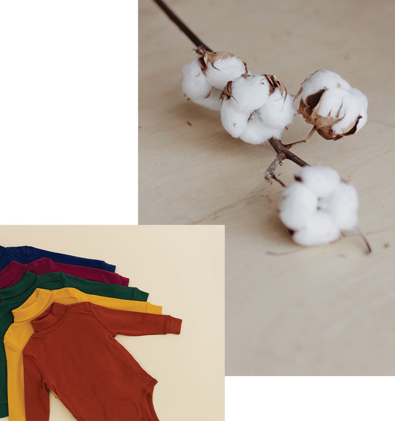 Cotton turtlenecks and image of cotton