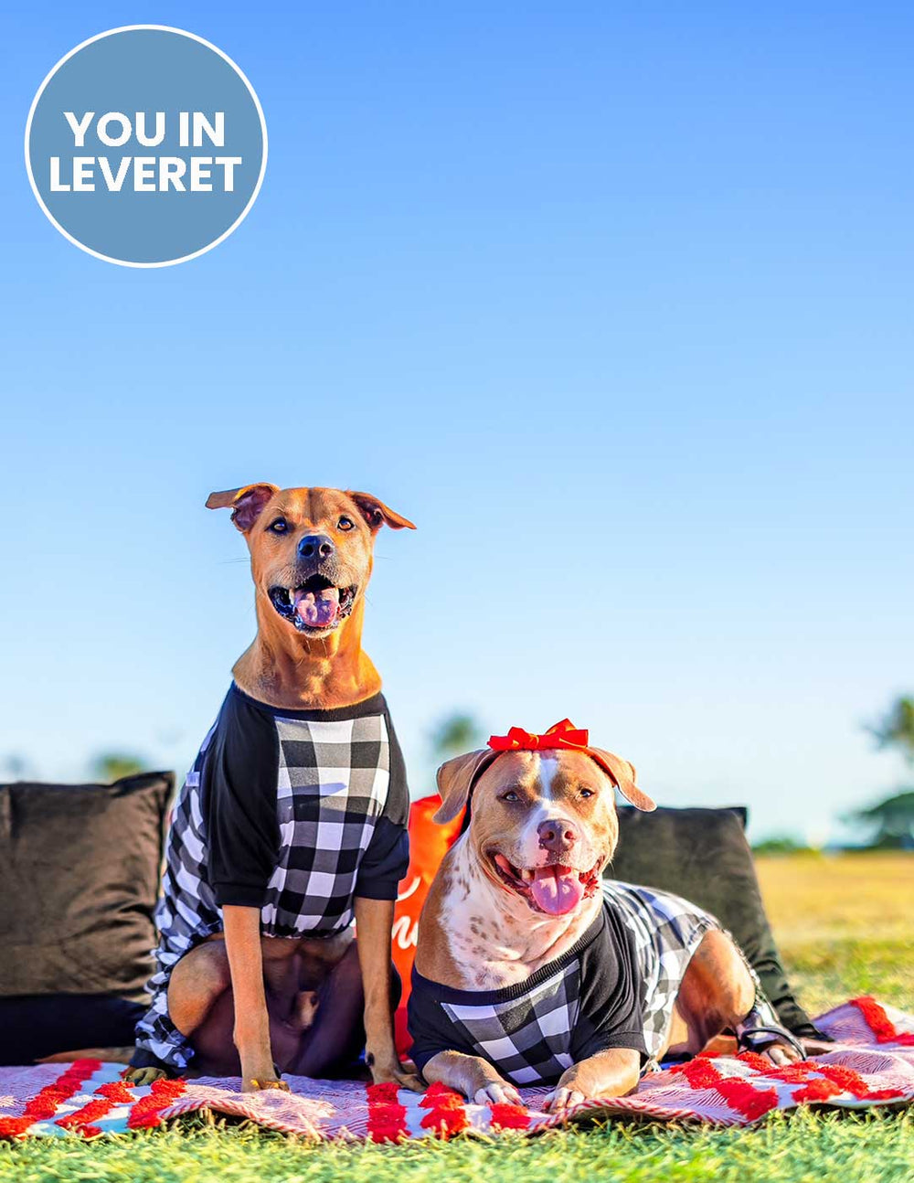 black and white plaid big dog pajamas