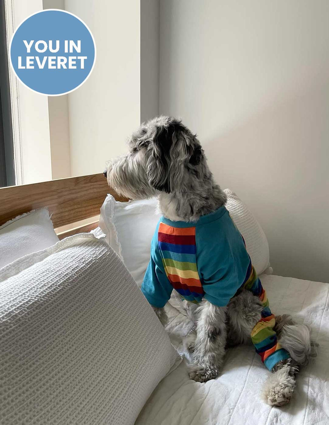 rainbow boy striped cotton dog pajamas