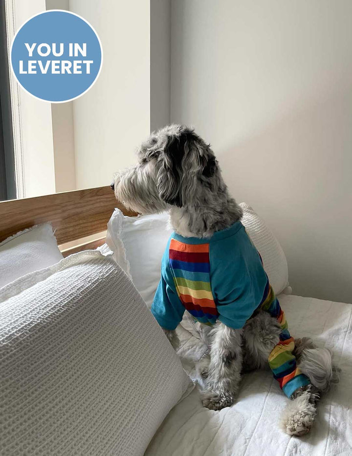 rainbow boy striped cotton dog pajamas