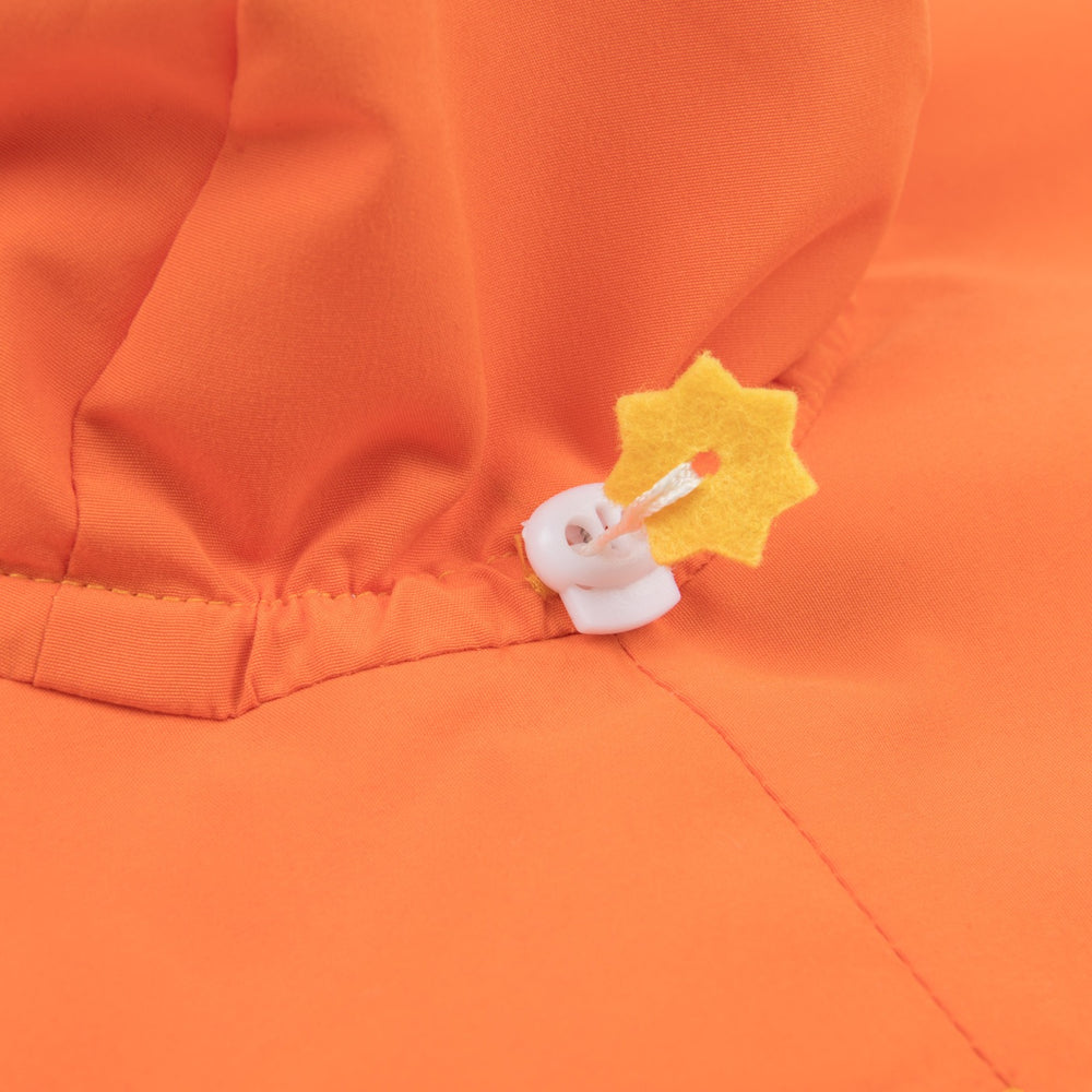 #color_orange