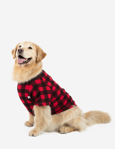 Buggin’ Out- Dog Pajama with Black Neck & Trim/Sleeves