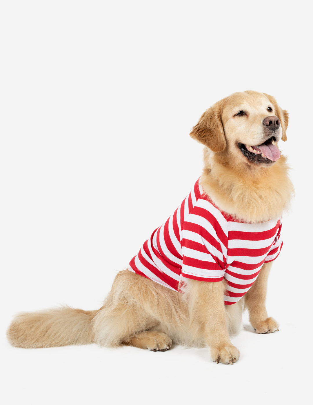 red and white stripes big dog pajamas