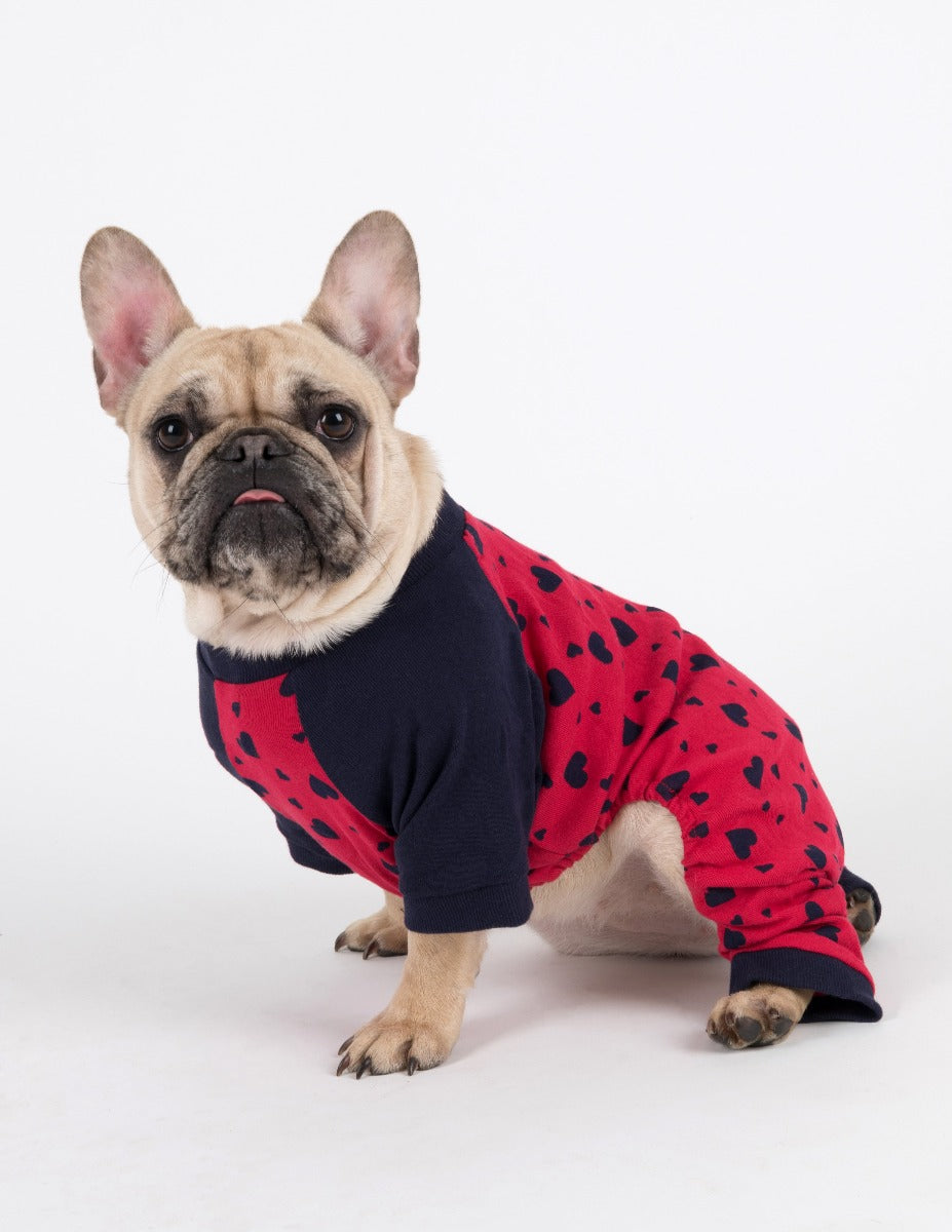 navy hearts dog pajama