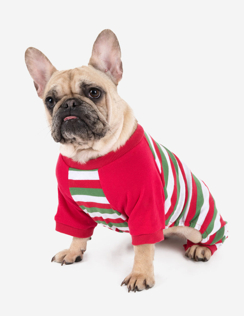 red white and green striped dog pajamas