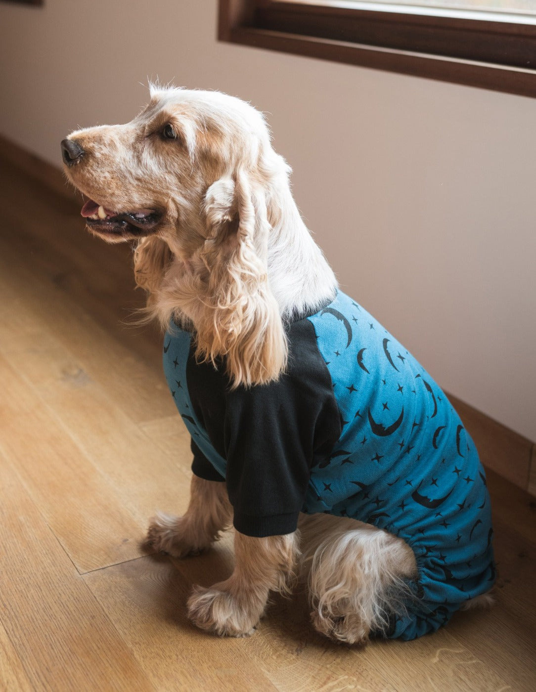 Dog Retro Rainbow Pajamas – Leveret Clothing