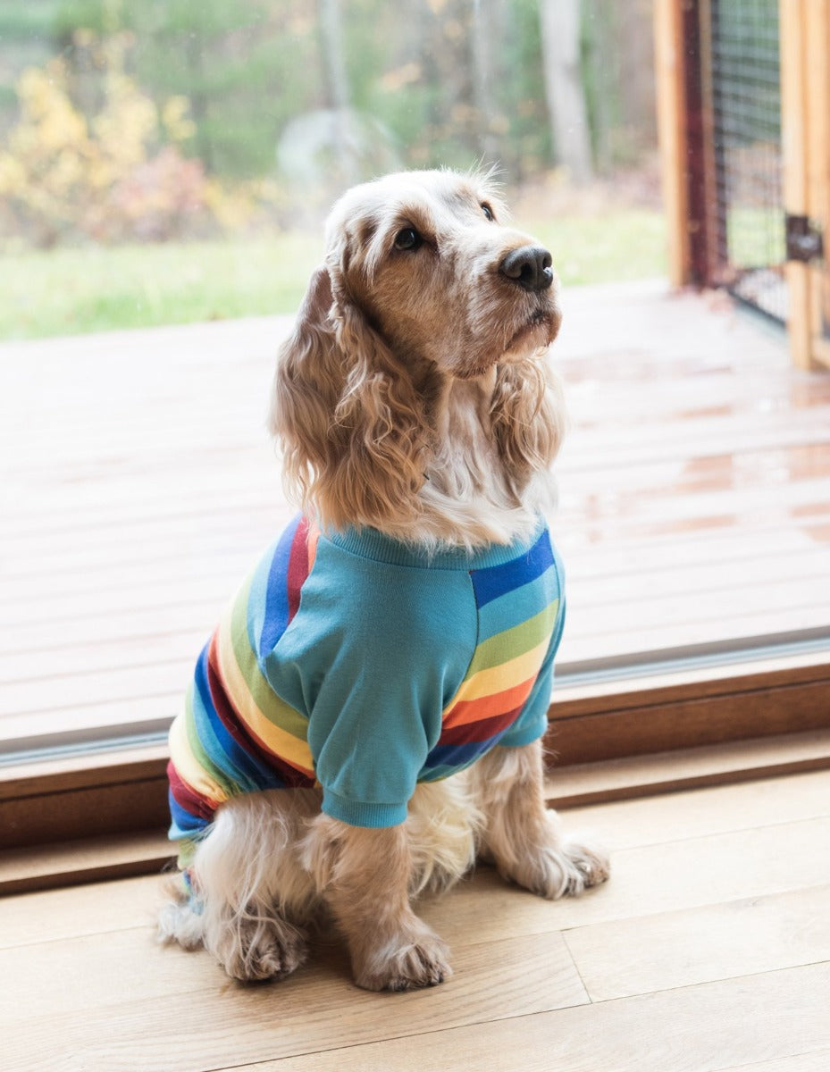 rainbow boy striped cotton dog pajamas