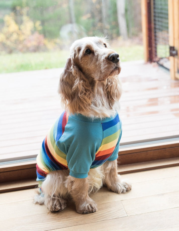 rainbow boy striped cotton dog pajamas