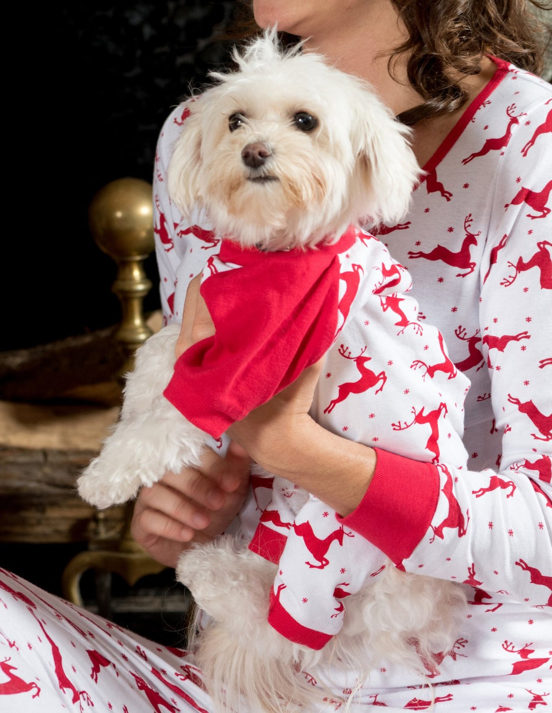 Christmas Pajamas Ladies Dog Pyjamas Leveret Dog Matching Family