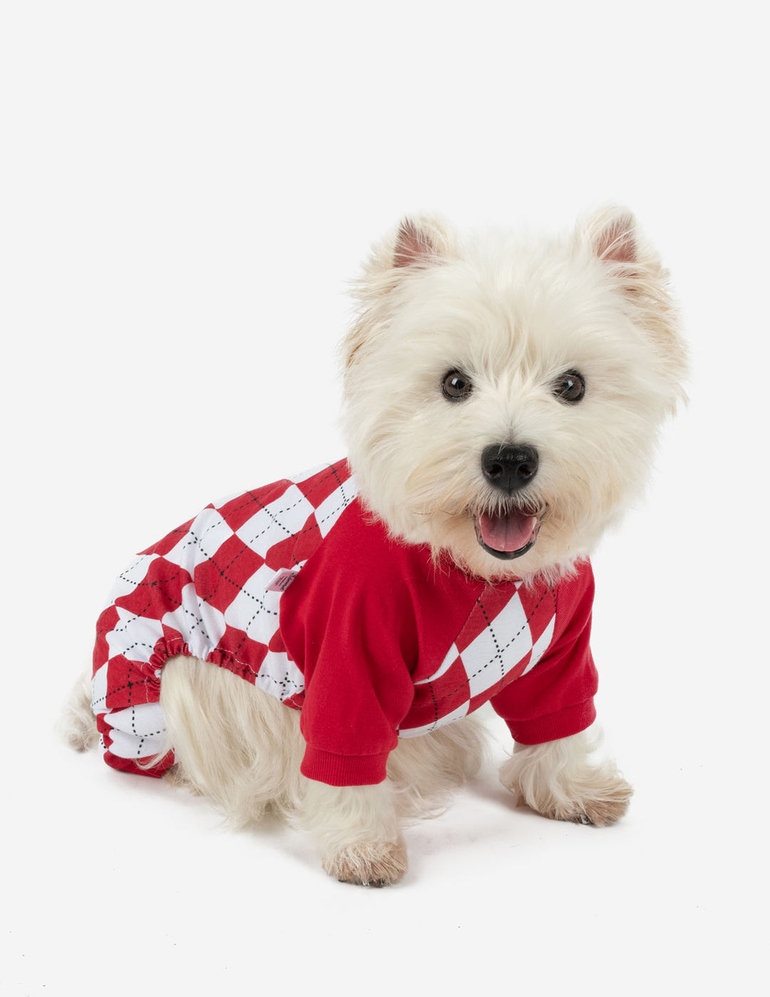 red and white argyle cotton dog pajamas