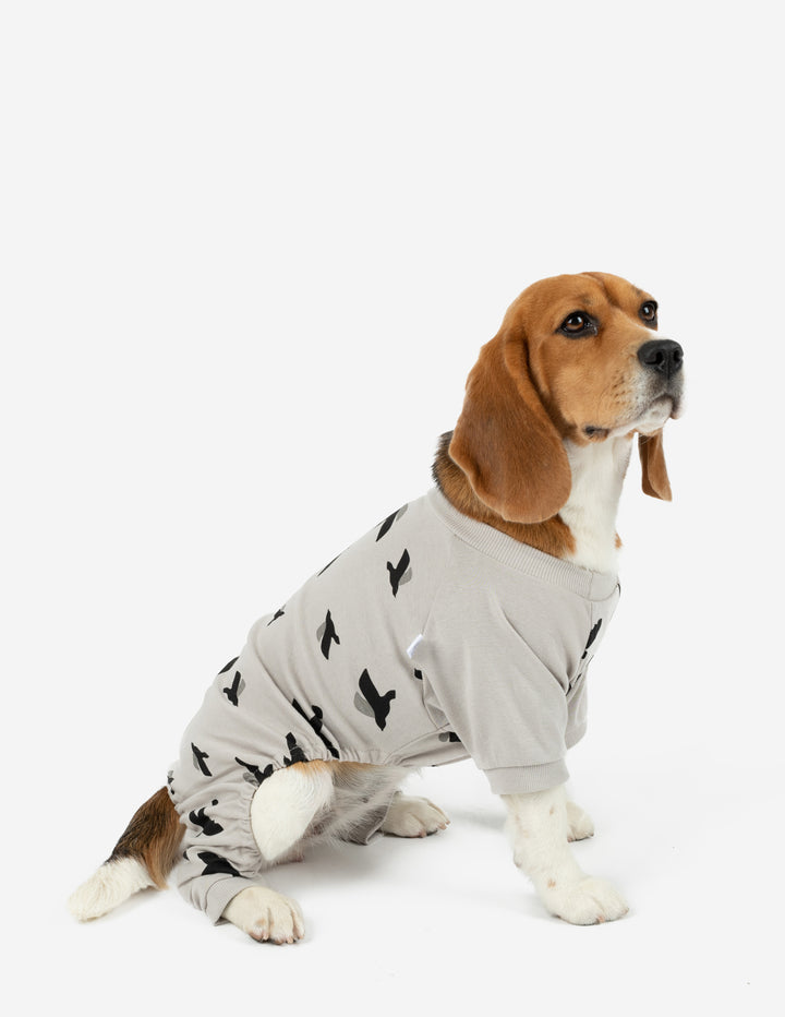 grey birds print dog pajama