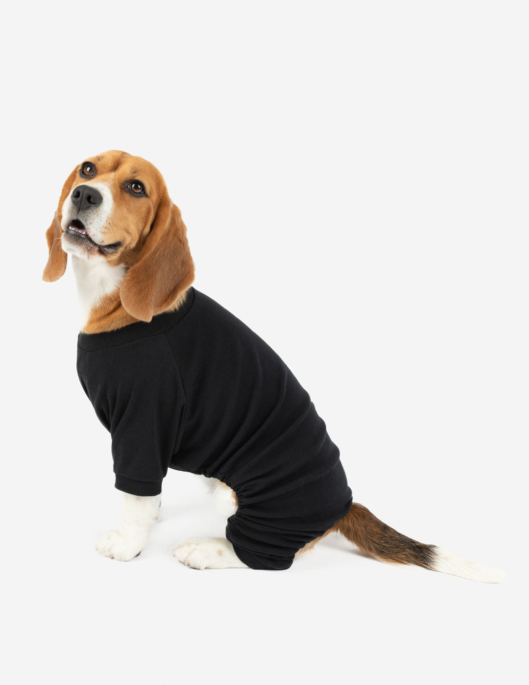 solid black dog pajamas