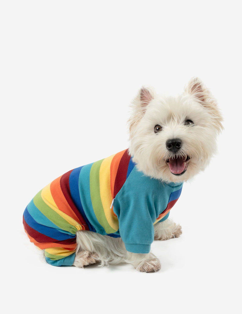 rainbow boy striped cotton dog pajamas