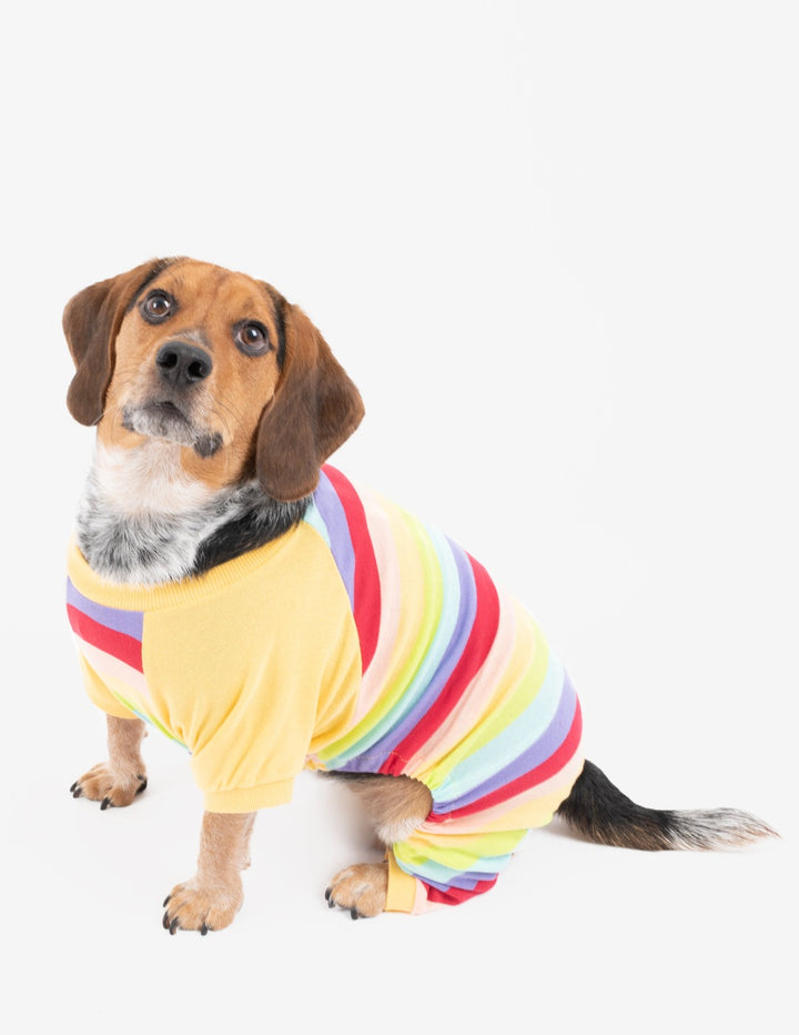 rainbow girl stripes cotton dog pajama