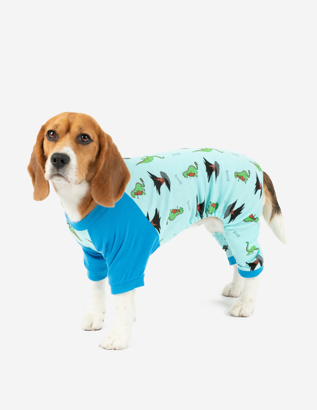 Dog Blue Dinosaur Pajamas – Leveret Clothing