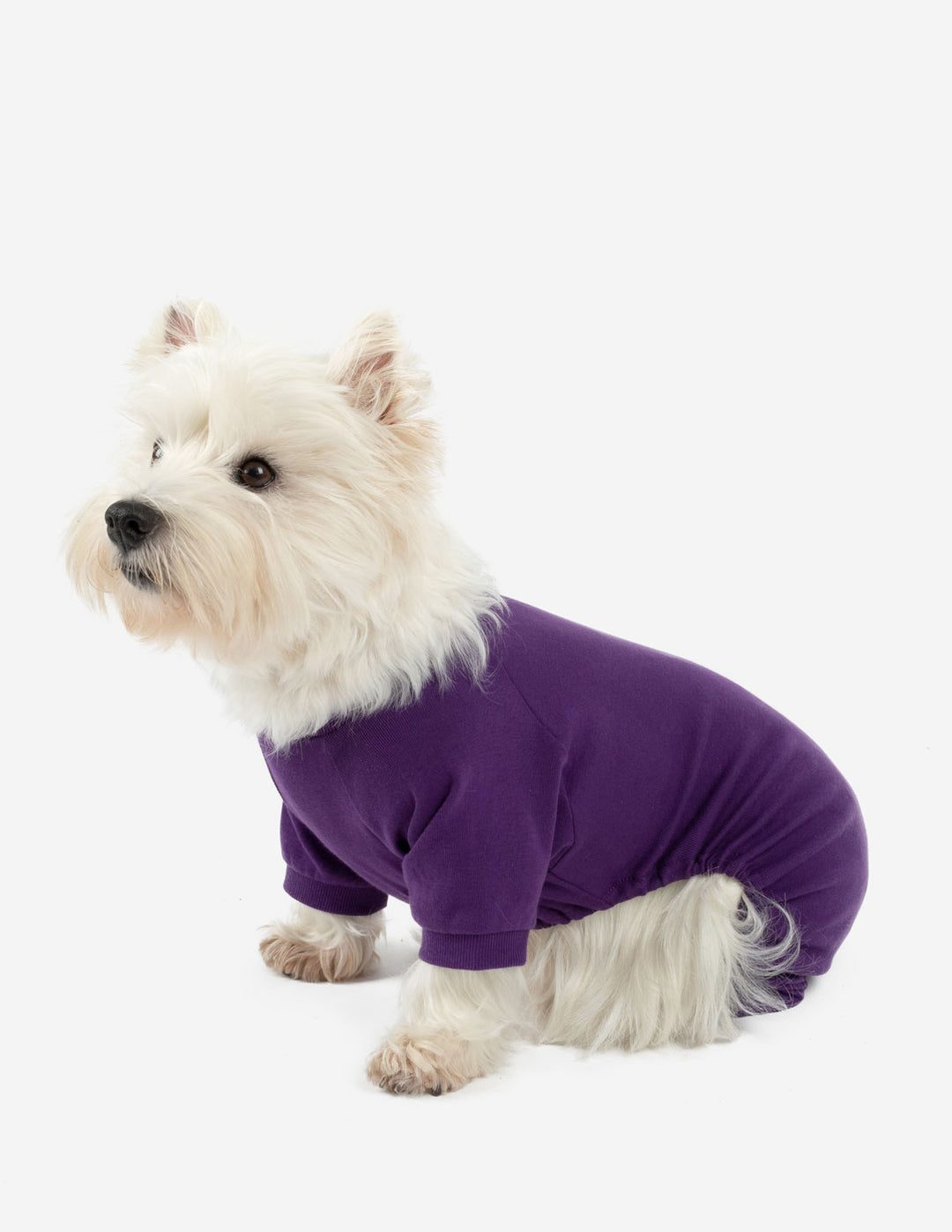 solid dark purple dog pajamas