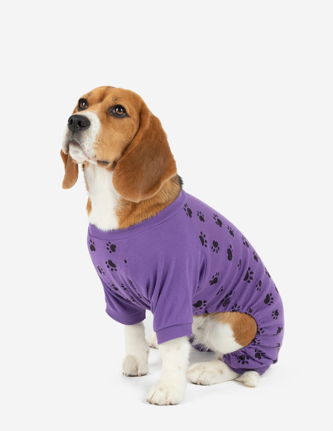 purple dog paw cotton dog pajama