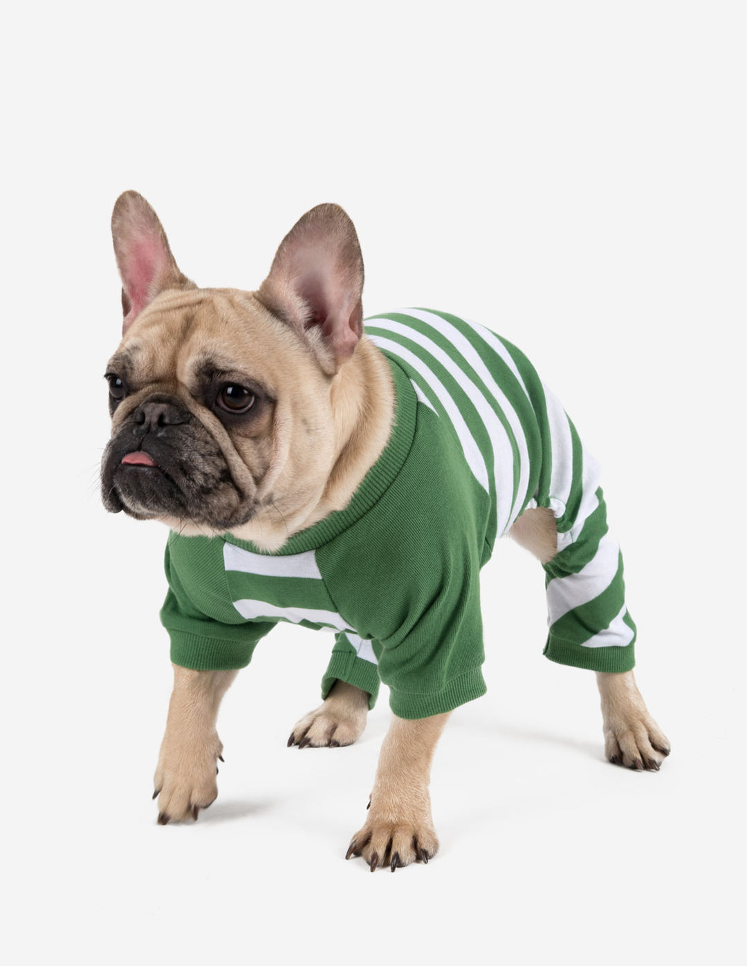green and white stripes dog cotton pajama