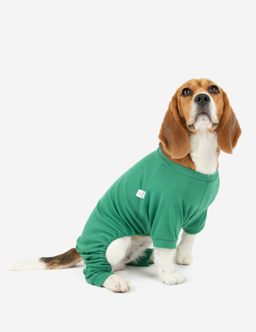 solid green dog pajama