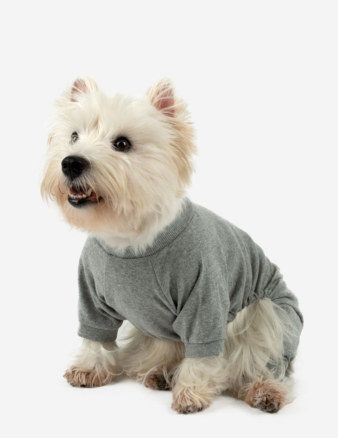 solid color grey dog pajamas