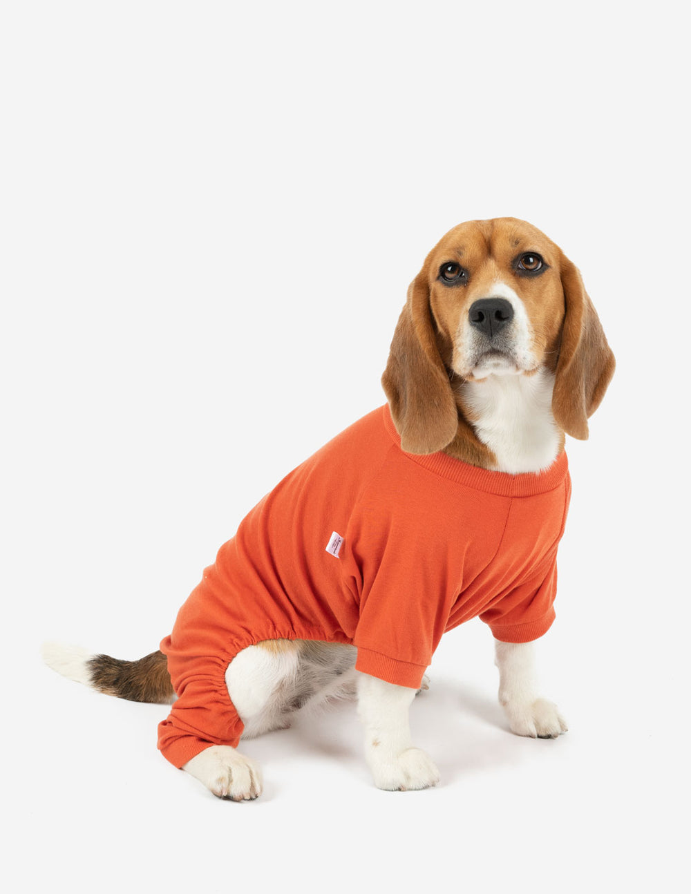 solid color orange dog pajamas
