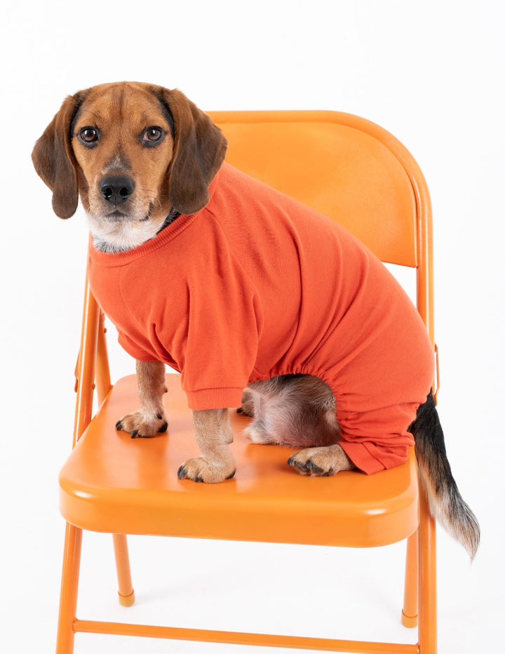 solid color orange dog pajamas