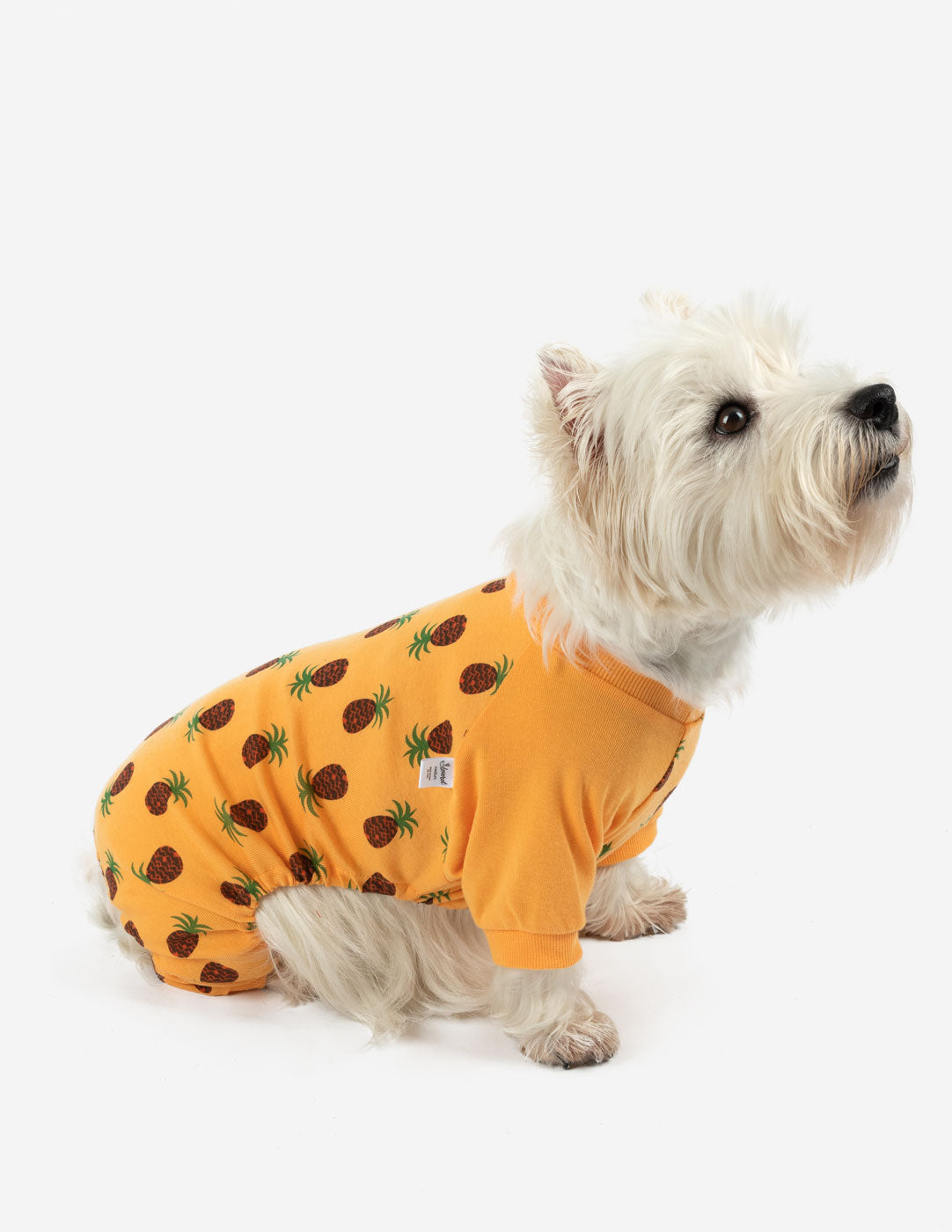 yellow pineapples cotton dog pajamas