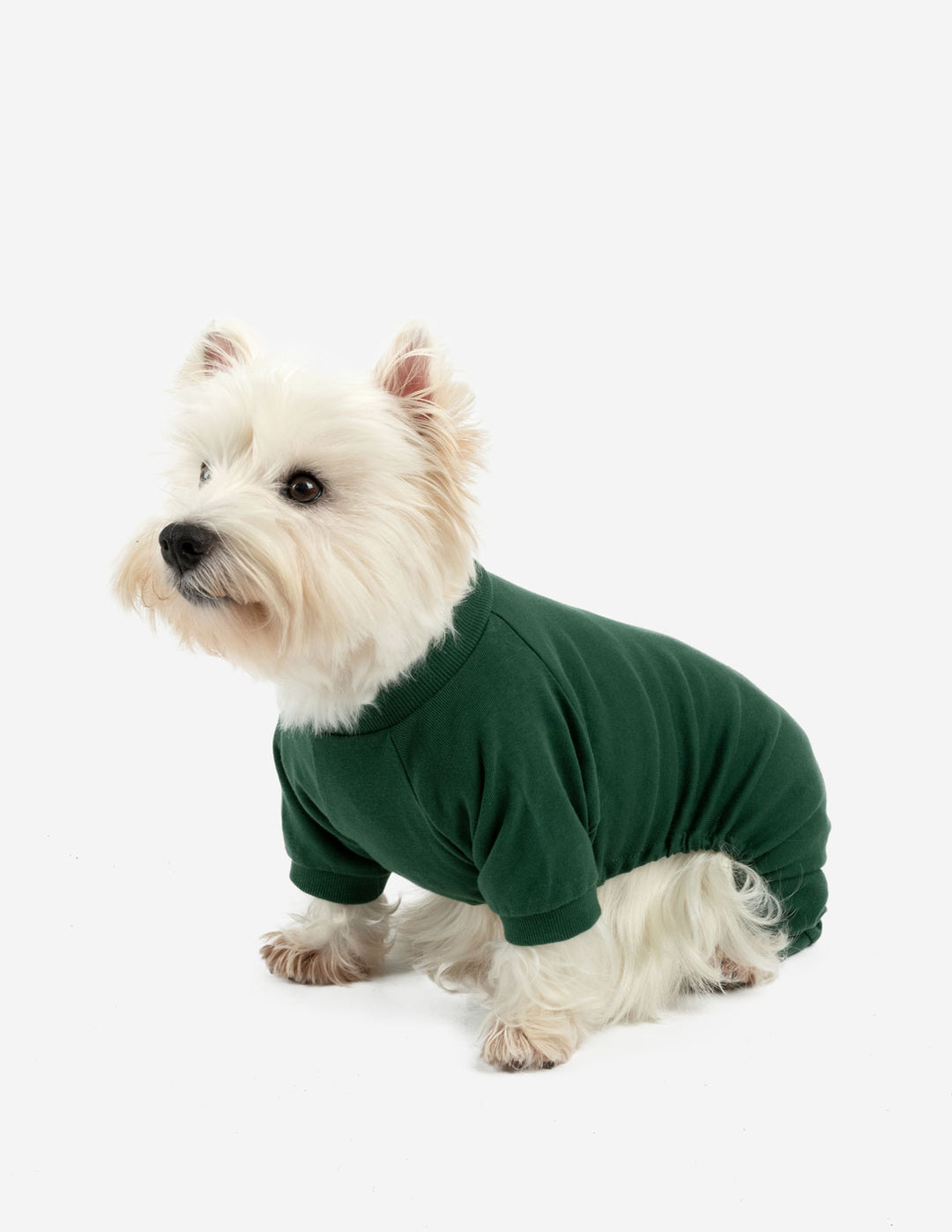 solid dark green dog pajamas