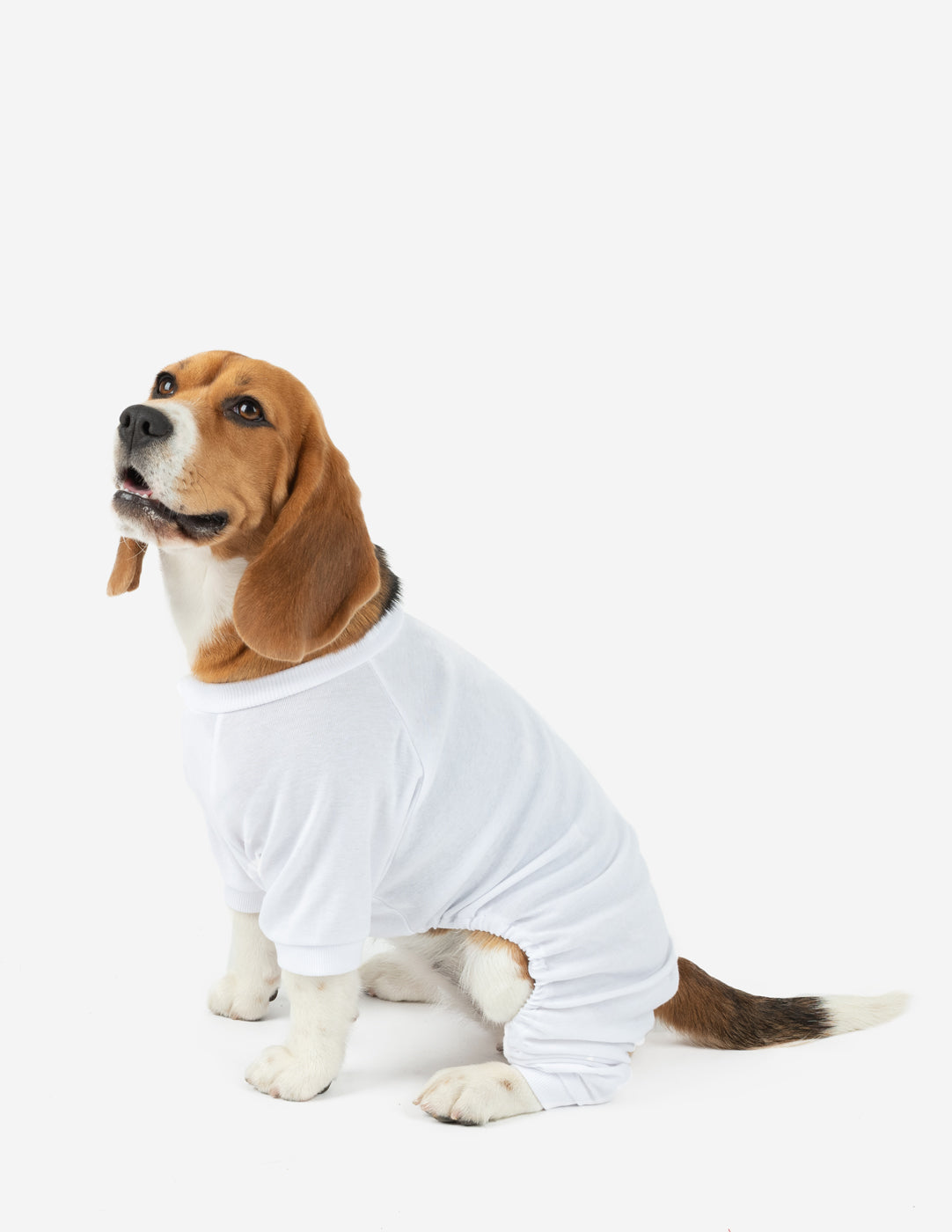 solid color white dog pajamas