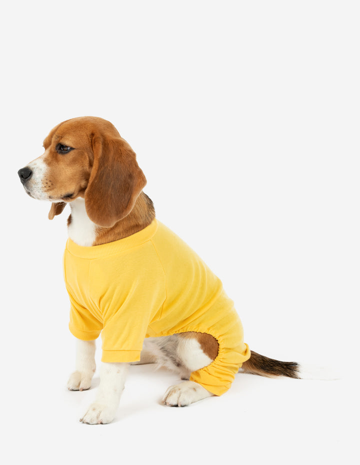 solid color yellow dog pajamas
