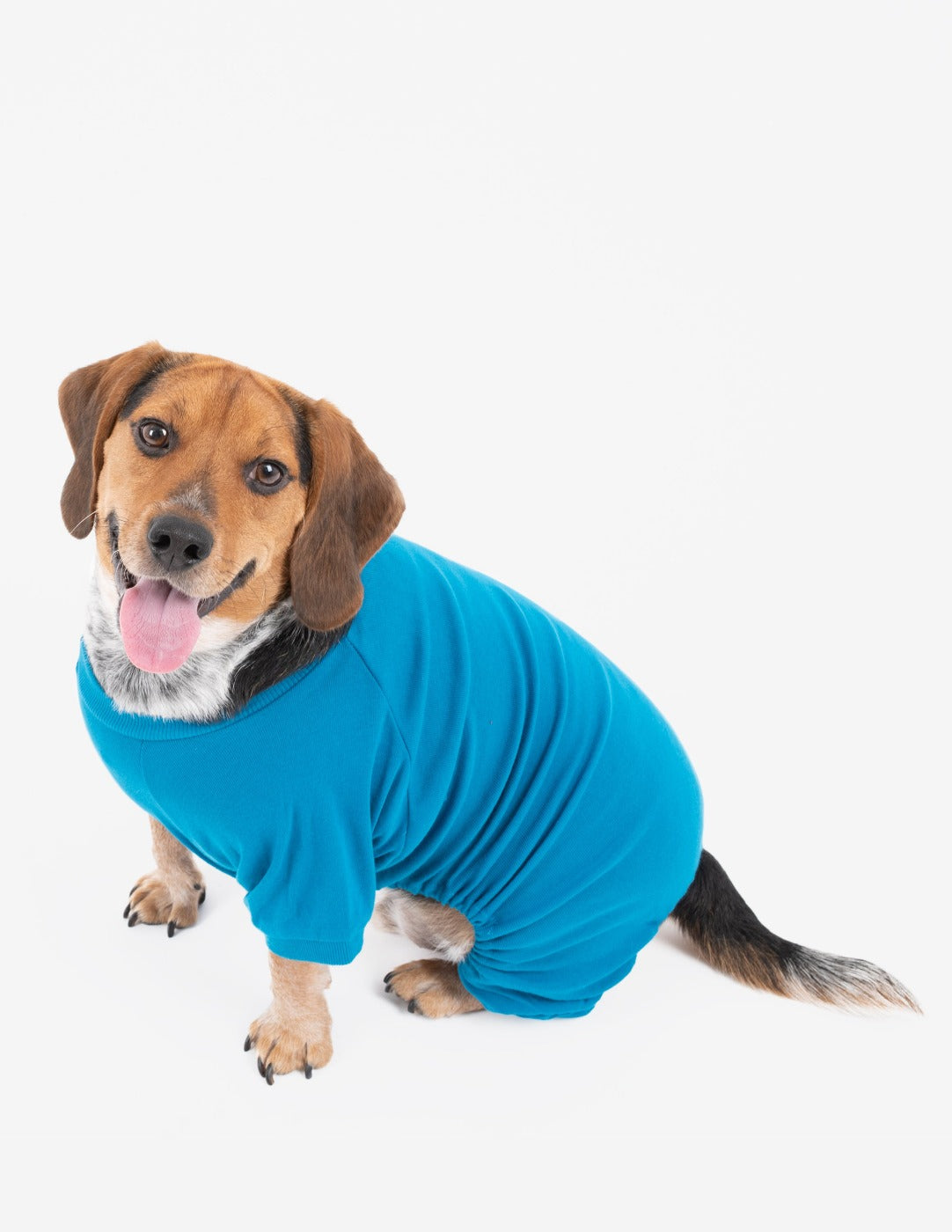 solid color teal blue dog pajamas