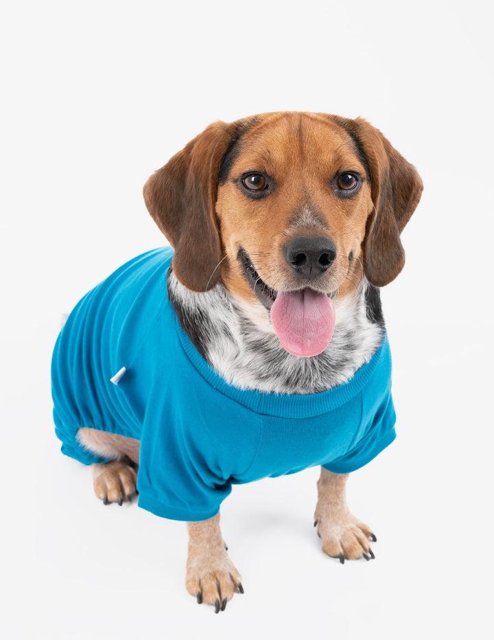 solid color teal blue dog pajamas