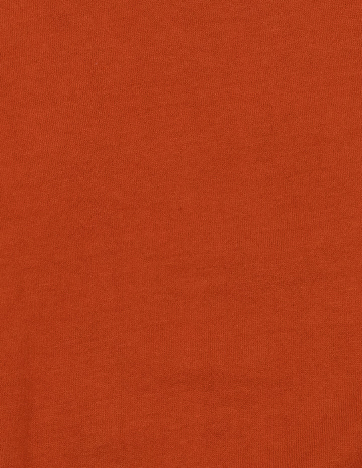#color_rust-orange